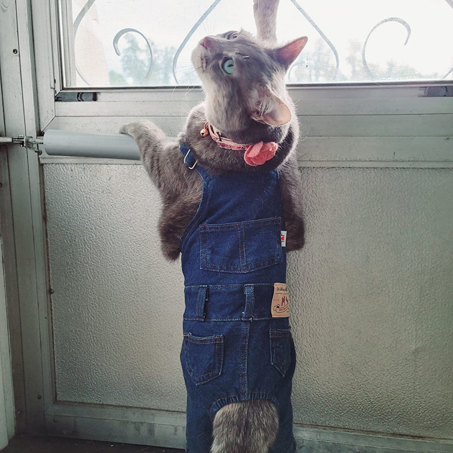 ARYK Denim Overalls