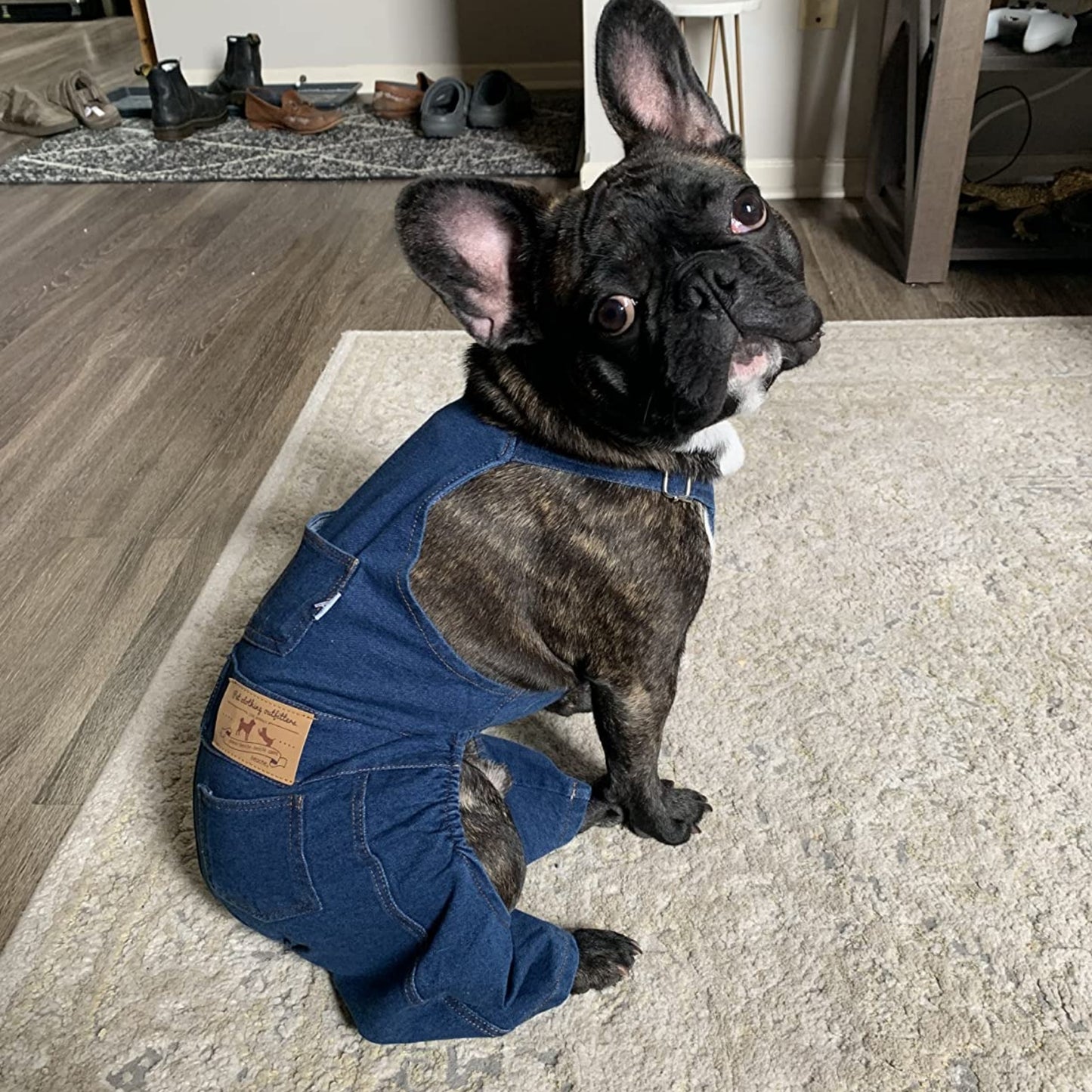 ARYK Denim Overalls