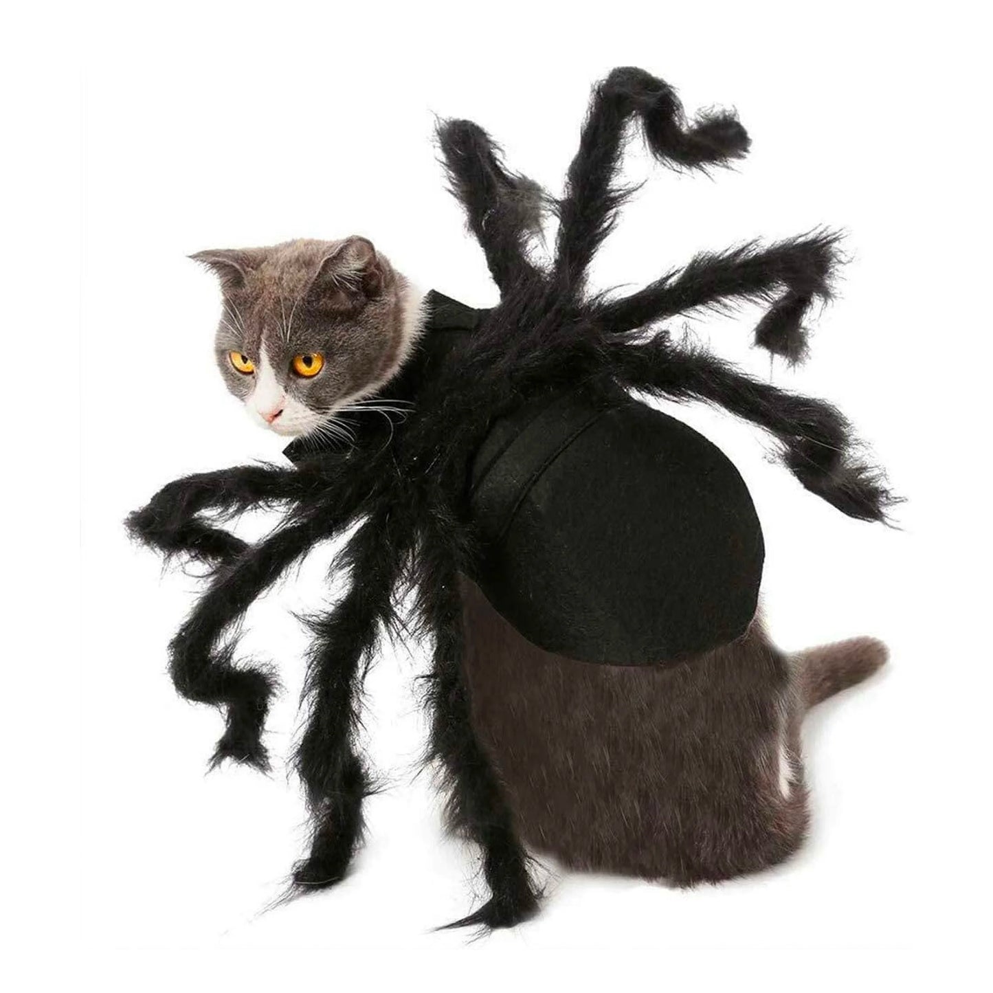 ARYK Spider Costume