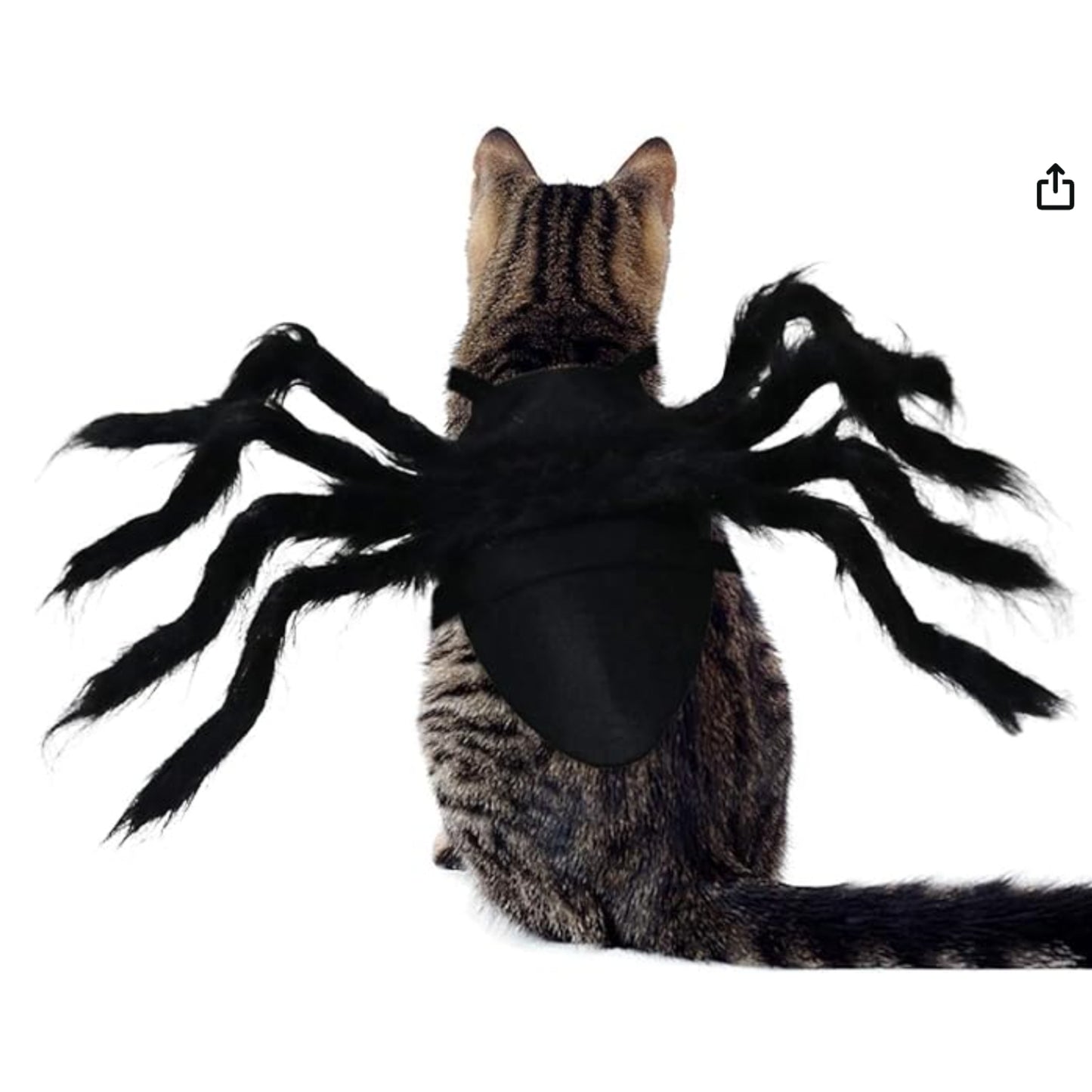 ARYK Spider Costume