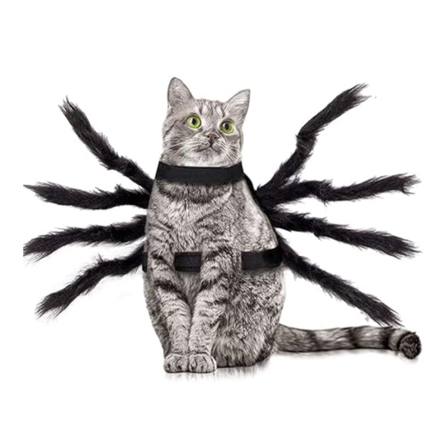 ARYK Spider Costume