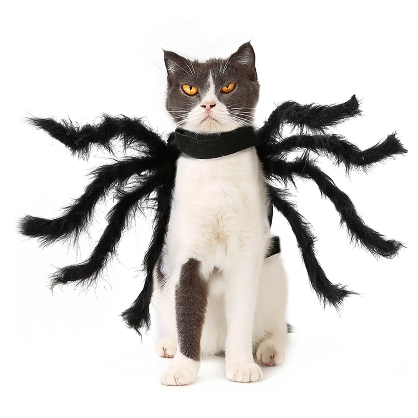 ARYK Spider Costume