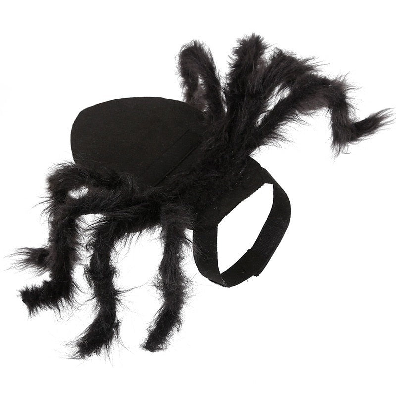 ARYK Spider Costume