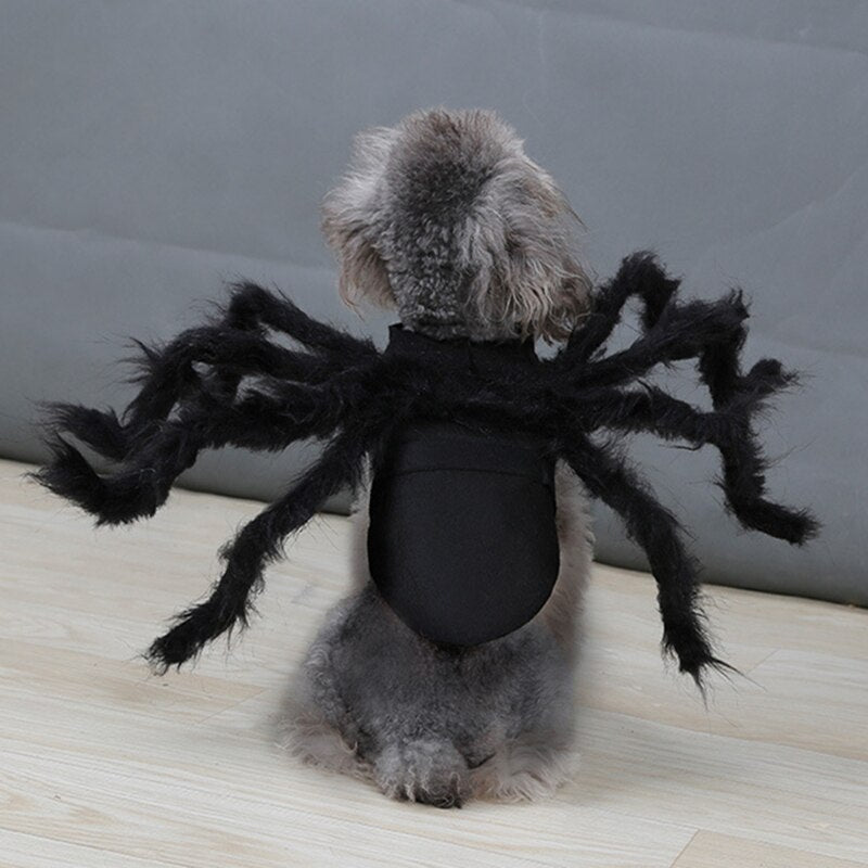 ARYK Spider Costume