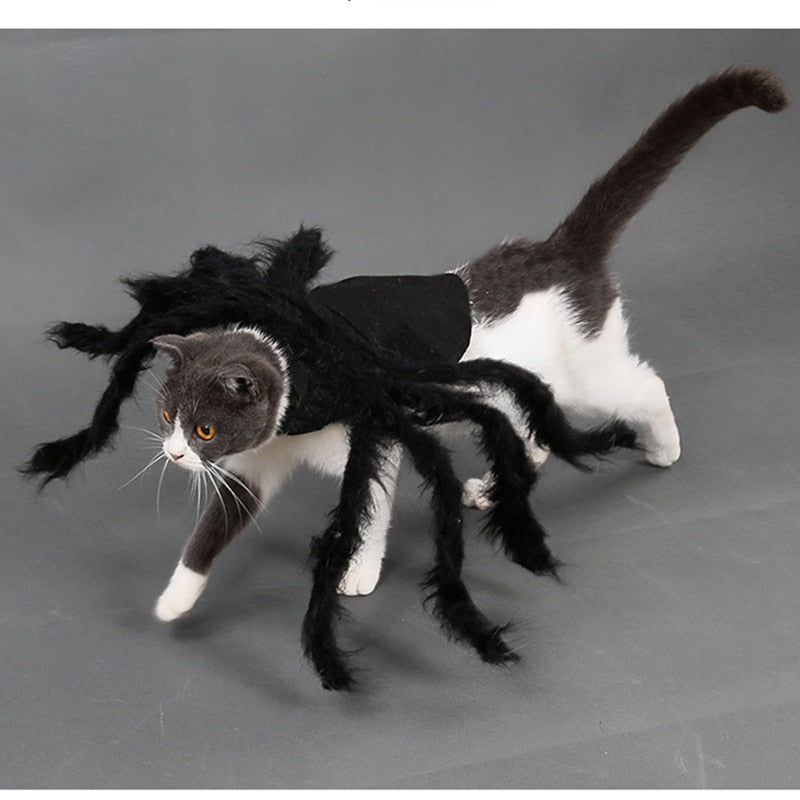 ARYK Spider Costume