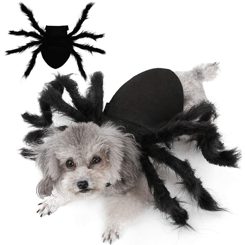 ARYK Spider Costume